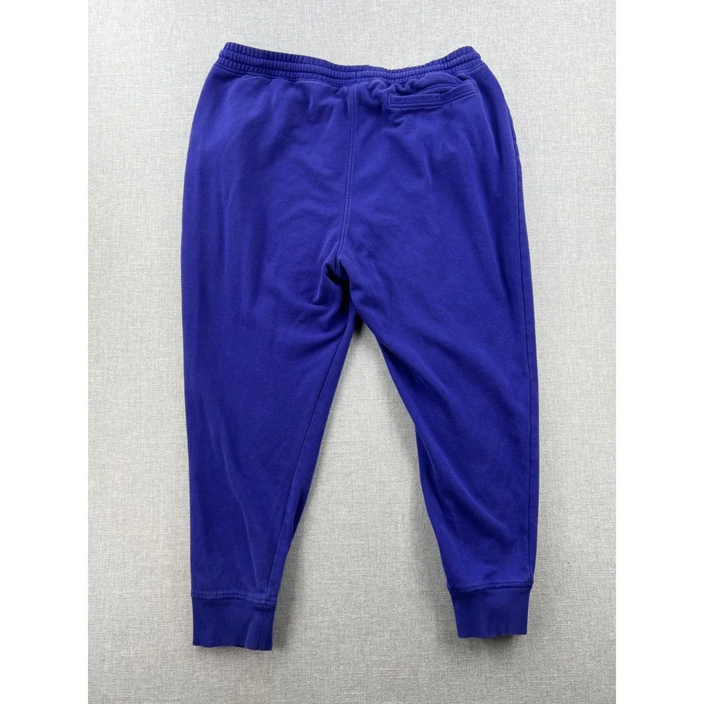 The North Face Box NSE Jogger Sweatpants Men XL Blue Logo Fleece Activewear Gorp